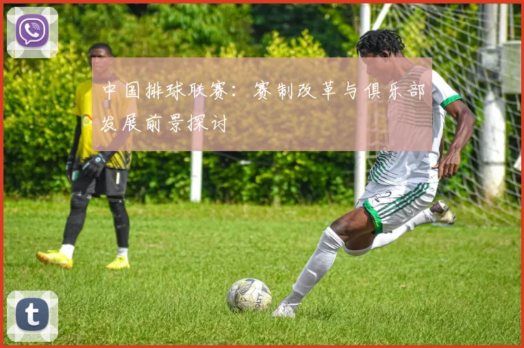 中国排球联赛:赛制改革与俱乐部发展前景探讨