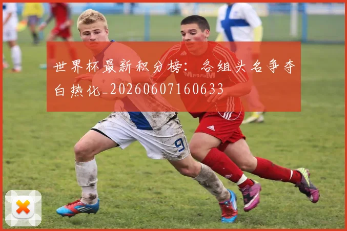 世界杯最新积分榜：各组头名争夺白热化_20260607160633