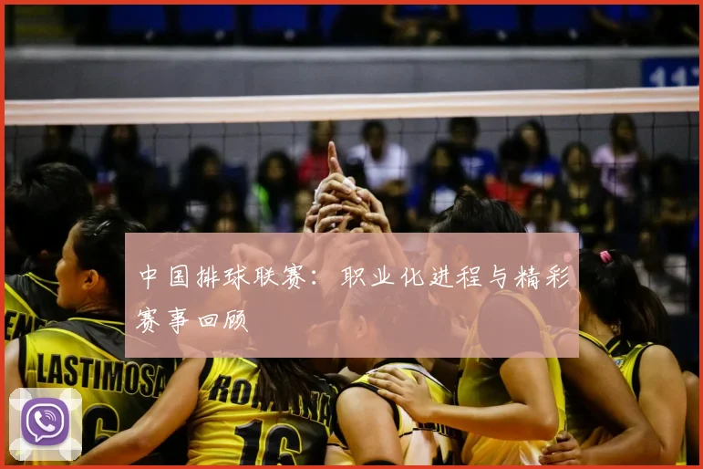 中国排球联赛:职业化进程与精彩赛事回顾